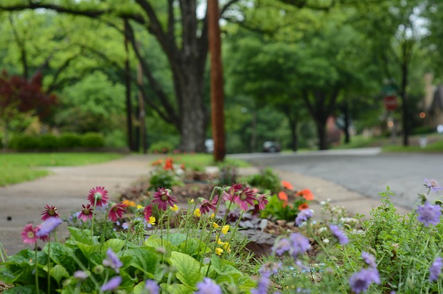 Colonial Hills Fort Worth Homes