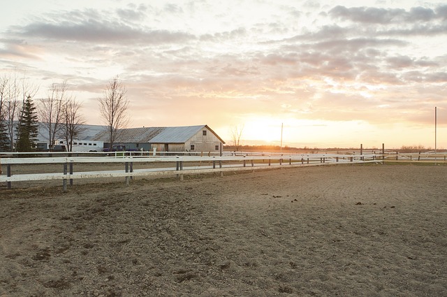 Featured image for “Fort Worth Horse Property For Sale”