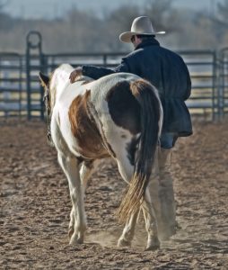 Cattlebaron Parc Fort Worth