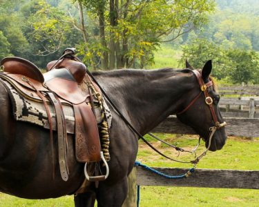 Fort Worth Private Equestrian Subdivisions