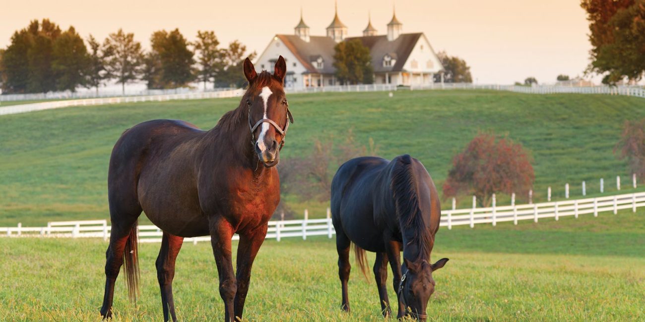 Fort Worth Equestrian Homes