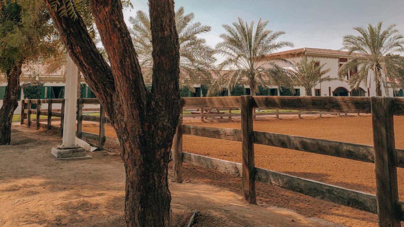 Luxury and Ranch Real Estate